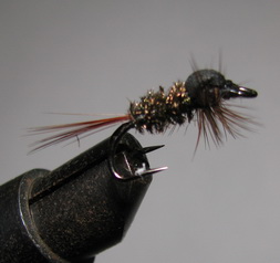 ���� �� �������� ��� �1 (10) Black Peacock ��. � 10